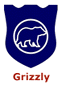 Grizzly bear trophy